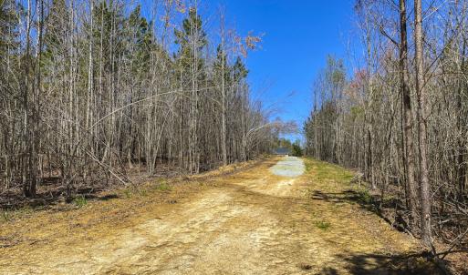 Photo #25 of SOLD property in Lot-4, 00 Allensville Road, Roxboro, NC 10.6 acres