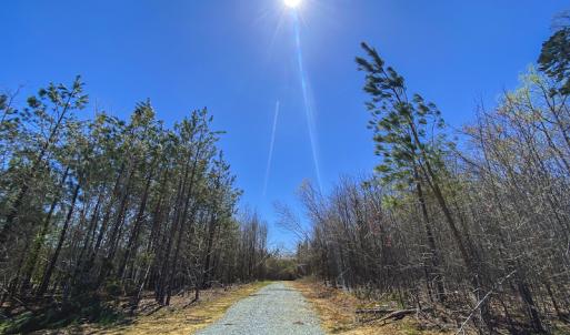 Photo #27 of SOLD property in Lot-4, 00 Allensville Road, Roxboro, NC 10.6 acres