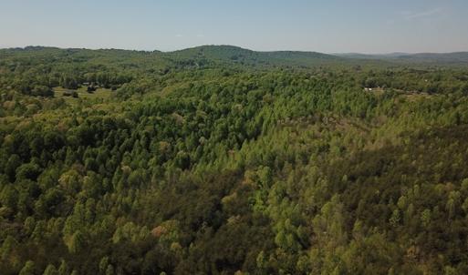 Photo #7 of SOLD property in Off Lees Ridge Road, Martinsville, VA 68.6 acres