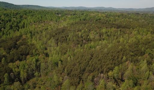 Photo #8 of SOLD property in Off Lees Ridge Road, Martinsville, VA 68.6 acres