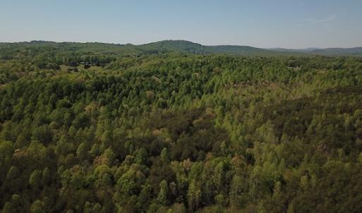 Photo #3 of SOLD property in Off Lees Ridge Road, Martinsville, VA 68.6 acres