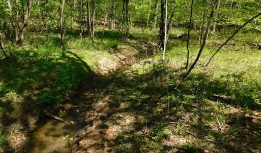 Photo #9 of SOLD property in Off Lees Ridge Road, Martinsville, VA 68.6 acres