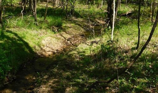 Photo #10 of SOLD property in Off Lees Ridge Road, Martinsville, VA 68.6 acres