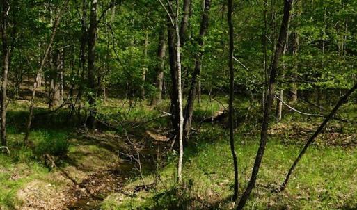 Photo #11 of SOLD property in Off Lees Ridge Road, Martinsville, VA 68.6 acres