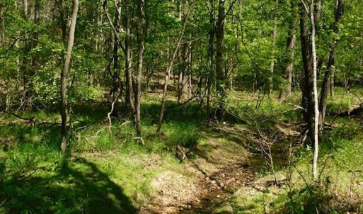Photo #12 of SOLD property in Off Lees Ridge Road, Martinsville, VA 68.6 acres