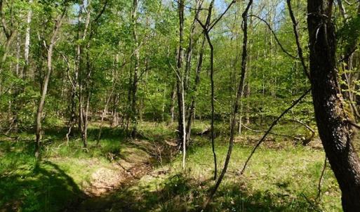 Photo #13 of SOLD property in Off Lees Ridge Road, Martinsville, VA 68.6 acres