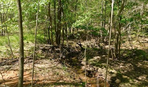 Photo #14 of SOLD property in Off Lees Ridge Road, Martinsville, VA 68.6 acres