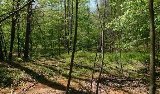Photo #15 of SOLD property in Off Lees Ridge Road, Martinsville, VA 68.6 acres