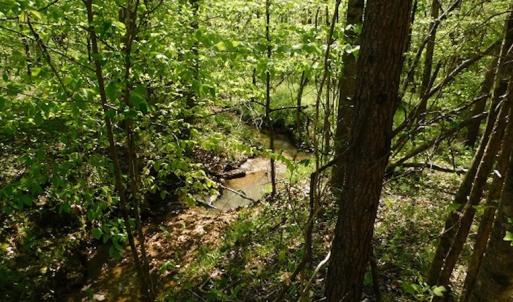 Photo #16 of SOLD property in Off Lees Ridge Road, Martinsville, VA 68.6 acres