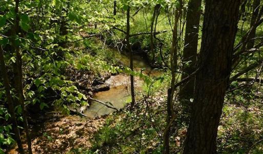 Photo #17 of SOLD property in Off Lees Ridge Road, Martinsville, VA 68.6 acres