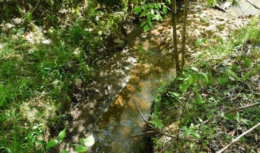 Photo #18 of SOLD property in Off Lees Ridge Road, Martinsville, VA 68.6 acres