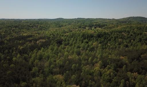 Photo #4 of SOLD property in Off Lees Ridge Road, Martinsville, VA 68.6 acres