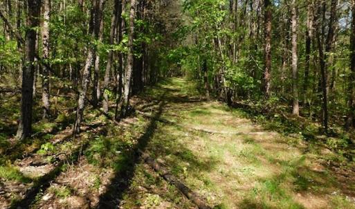 Photo #19 of SOLD property in Off Lees Ridge Road, Martinsville, VA 68.6 acres
