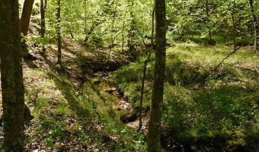 Photo #22 of SOLD property in Off Lees Ridge Road, Martinsville, VA 68.6 acres