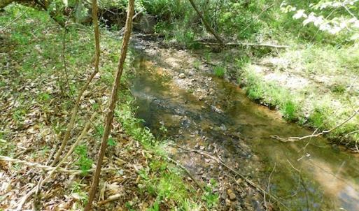 Photo #26 of SOLD property in Off Lees Ridge Road, Martinsville, VA 68.6 acres