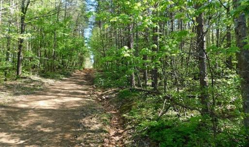 Photo #27 of SOLD property in Off Lees Ridge Road, Martinsville, VA 68.6 acres