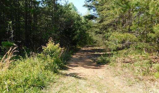 Photo #28 of SOLD property in Off Lees Ridge Road, Martinsville, VA 68.6 acres