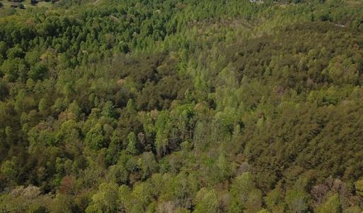 Photo #6 of SOLD property in Off Lees Ridge Road, Martinsville, VA 68.6 acres