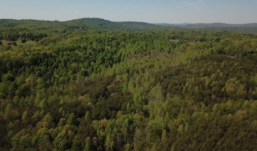 Photo #5 of SOLD property in Off Lees Ridge Road, Martinsville, VA 68.6 acres