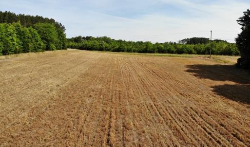 Photo #19 of SOLD property in Off HWY 903, Littleton, NC 4.2 acres