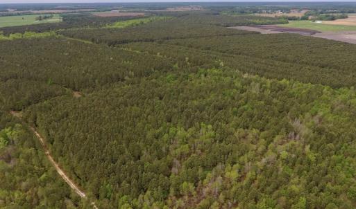 Photo #9 of SOLD property in Off Blizzard Road, Snow Hill, NC 13.7 acres