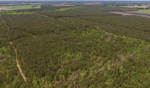 Photo #10 of SOLD property in Off Blizzard Road, Snow Hill, NC 13.7 acres