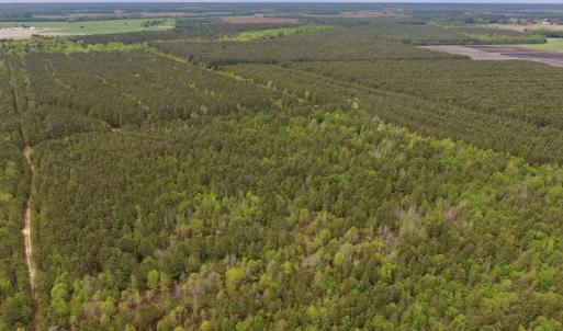 Photo #11 of SOLD property in Off Blizzard Road, Snow Hill, NC 13.7 acres