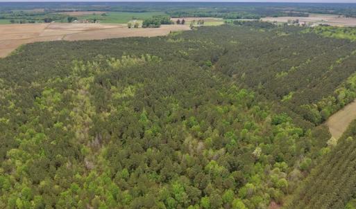 Photo #16 of SOLD property in Off Blizzard Road, Snow Hill, NC 13.7 acres