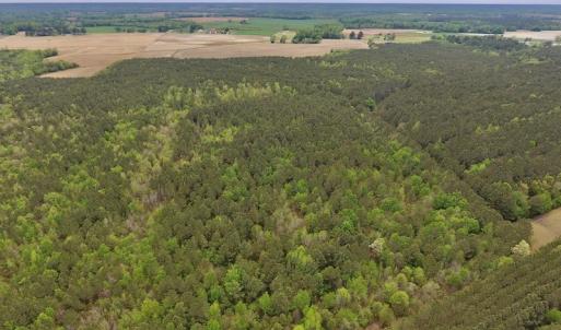 Photo #17 of SOLD property in Off Blizzard Road, Snow Hill, NC 13.7 acres