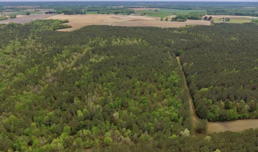 Photo #18 of SOLD property in Off Blizzard Road, Snow Hill, NC 13.7 acres