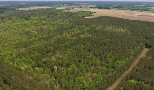 Photo #19 of SOLD property in Off Blizzard Road, Snow Hill, NC 13.7 acres