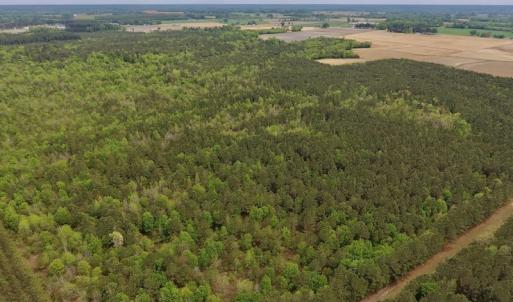Photo #20 of SOLD property in Off Blizzard Road, Snow Hill, NC 13.7 acres