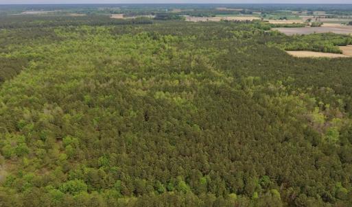 Photo #22 of SOLD property in Off Blizzard Road, Snow Hill, NC 13.7 acres