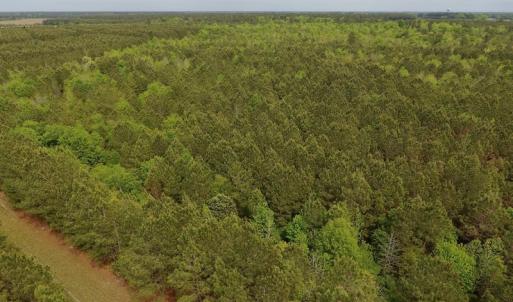 Photo #23 of SOLD property in Off Blizzard Road, Snow Hill, NC 13.7 acres
