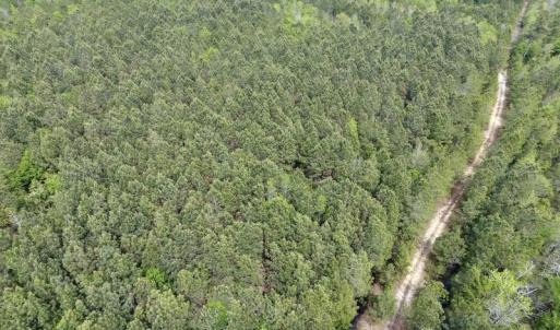 Photo #28 of SOLD property in Off Blizzard Road, Snow Hill, NC 13.7 acres