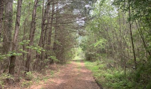 Photo #29 of SOLD property in Off Blizzard Road, Snow Hill, NC 13.7 acres