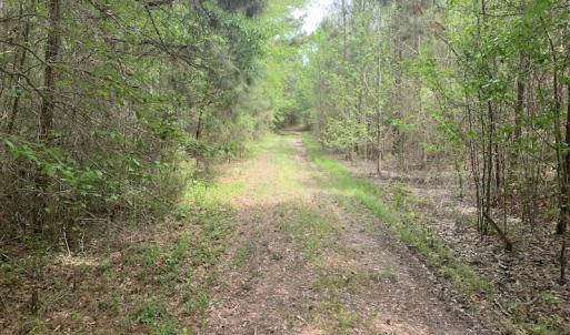 Photo #30 of SOLD property in Off Blizzard Road, Snow Hill, NC 13.7 acres
