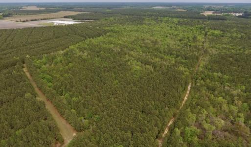 Photo #3 of SOLD property in Off Blizzard Road, Snow Hill, NC 13.7 acres