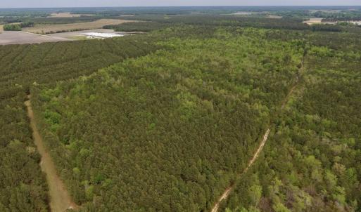 Photo #4 of SOLD property in Off Blizzard Road, Snow Hill, NC 13.7 acres