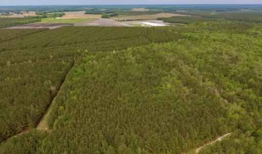 Photo #5 of SOLD property in Off Blizzard Road, Snow Hill, NC 13.7 acres