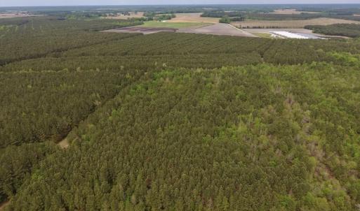 Photo #6 of SOLD property in Off Blizzard Road, Snow Hill, NC 13.7 acres