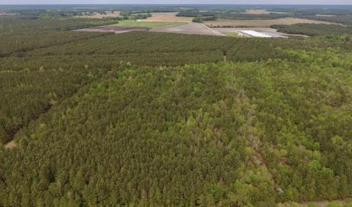 Photo #7 of SOLD property in Off Blizzard Road, Snow Hill, NC 13.7 acres