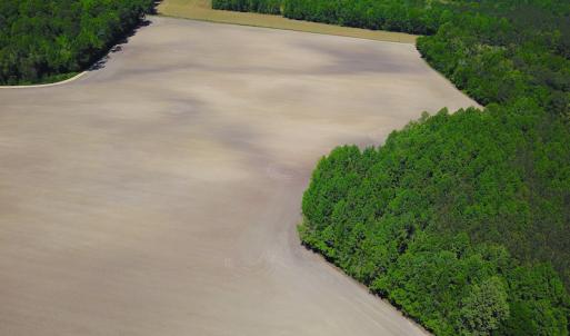 Photo #3 of SOLD property in Off Corinth Chapel Rd, Suffolk, VA 66.0 acres