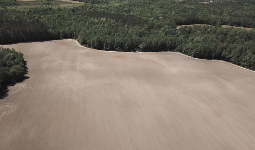 Photo #4 of SOLD property in Off Corinth Chapel Rd, Suffolk, VA 66.0 acres