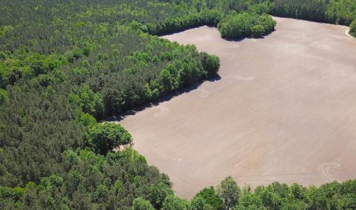 Photo #5 of SOLD property in Off Corinth Chapel Rd, Suffolk, VA 66.0 acres