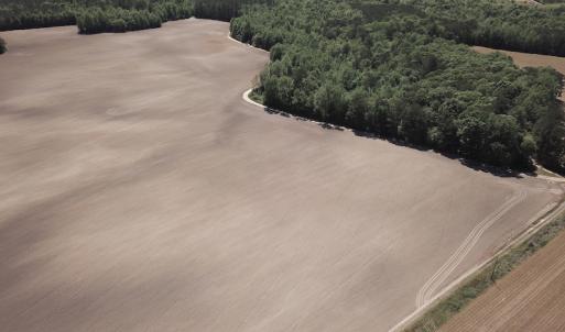 Photo #9 of SOLD property in Off Corinth Chapel Rd, Suffolk, VA 66.0 acres