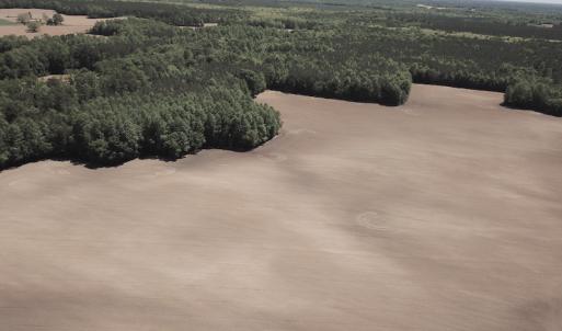 Photo #10 of SOLD property in Off Corinth Chapel Rd, Suffolk, VA 66.0 acres