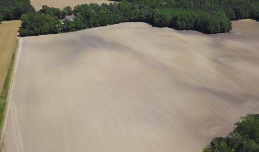 Photo #11 of SOLD property in Off Corinth Chapel Rd, Suffolk, VA 66.0 acres