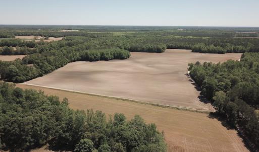 Photo #12 of SOLD property in Off Corinth Chapel Rd, Suffolk, VA 66.0 acres
