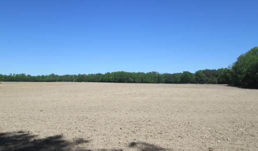 Photo #13 of SOLD property in Off Corinth Chapel Rd, Suffolk, VA 66.0 acres